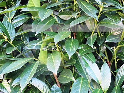 无逾期房贷好申请吗 无逾期房贷好申请吗
