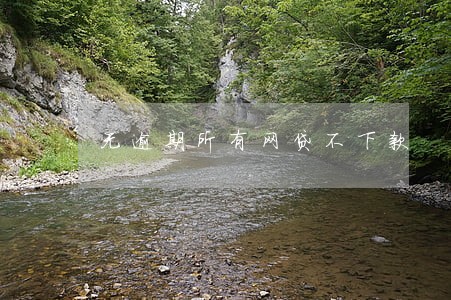 无逾期所有网贷不下款