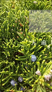 无逾期数据花负债高 无逾期数据花负债高