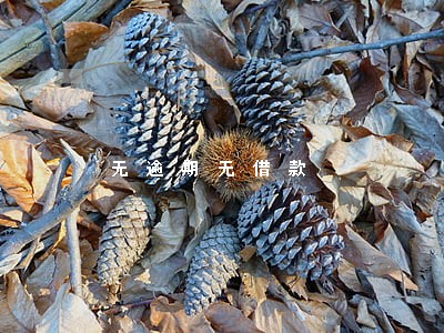 无逾期无借款 无逾期无借款