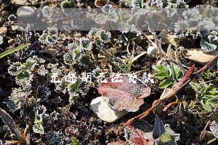 无逾期无法贷款 无逾期无法贷款