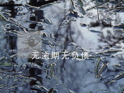 无逾期无负债