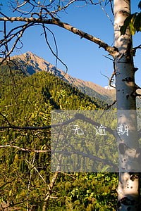 无逾期有保单负债高能贷吗 无逾期有保单负债高能贷吗