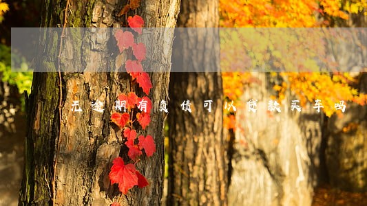 无逾期有负债可以贷款买车吗 无逾期有负债可以贷款买车吗