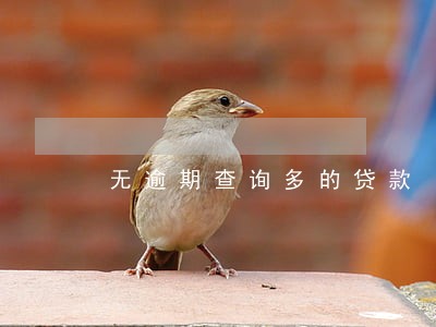 无逾期查询多的贷款