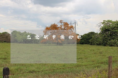 无逾期申请秒拒