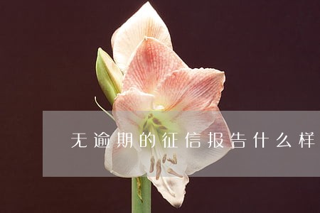 无逾期的征信报告什么样 无逾期的征信报告什么样