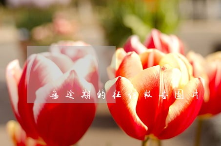 无逾期的征信报告图片 无逾期的征信报告图片