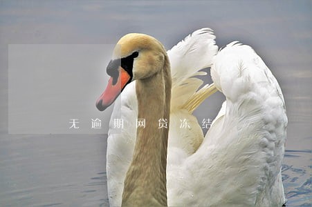 无逾期网贷冻结 无逾期网贷冻结