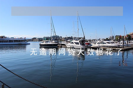 无逾期网贷大数据花了 无逾期网贷大数据花了