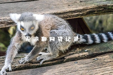 无逾期网贷记录 无逾期网贷记录