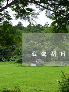 无逾期网贷都不放款为什么 无逾期网贷都不放款为什么
