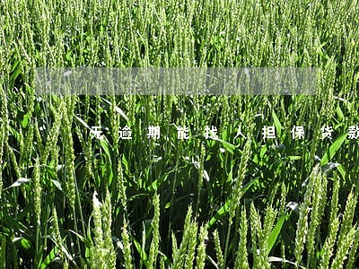 无逾期能找人担保货款嘛