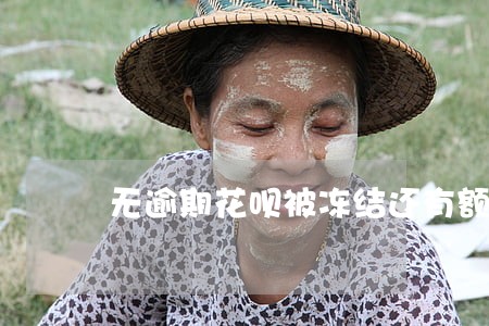 无逾期花呗被冻结还有额度 无逾期花呗被冻结还有额度
