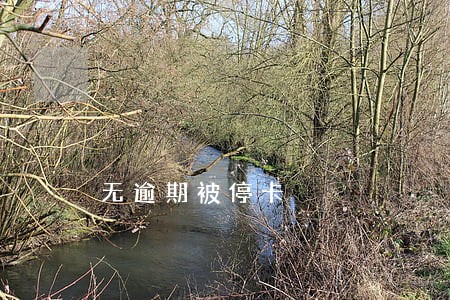 无逾期被停卡 无逾期被停卡