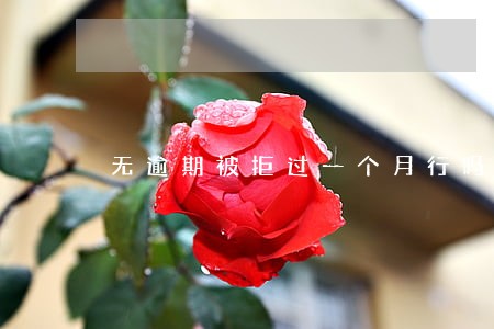 无逾期被拒过一个月行吗 无逾期被拒过一个月行吗