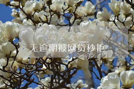 无逾期被网贷秒拒 无逾期被网贷秒拒
