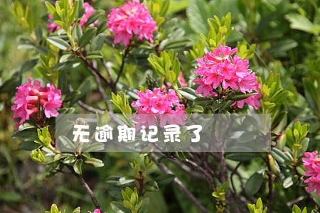 无逾期记录了 无逾期记录了