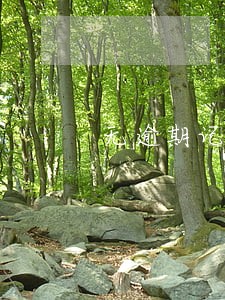 无逾期记录但是欠款多 无逾期记录但是欠款多