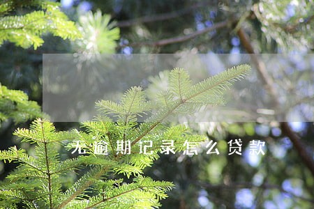 无逾期记录怎么贷款 无逾期记录怎么贷款