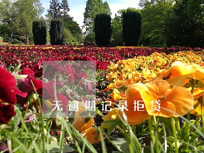 无逾期记录拒贷