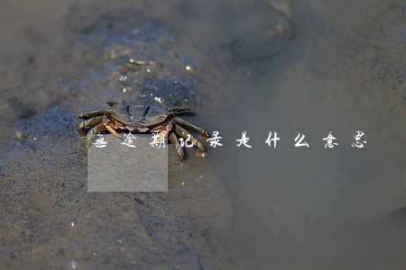 无逾期记录是什么意思