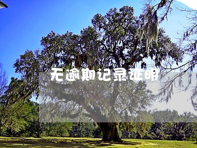 无逾期记录证明