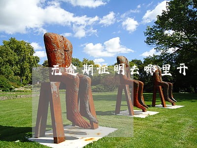 无逾期证明去哪里开