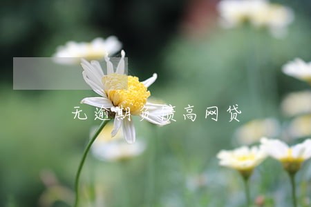 无逾期负债高网贷 无逾期负债高网贷