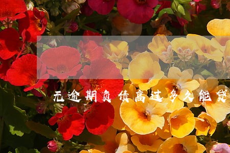 无逾期负债高过多久能贷