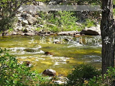 无逾期账户明细记录100条 无逾期账户明细记录100条