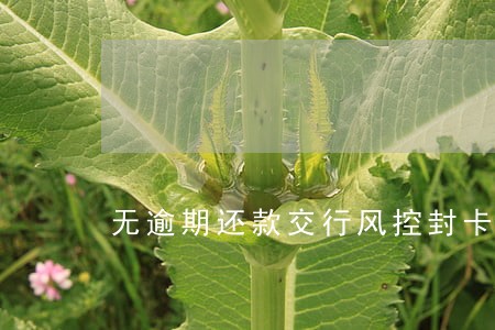 无逾期还款交行风控封卡