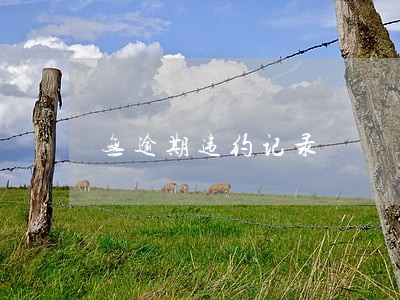 无逾期违约记录