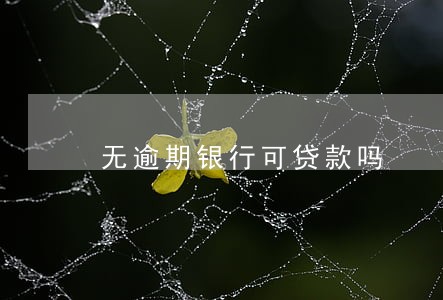 无逾期银行可贷款吗 无逾期银行可贷款吗