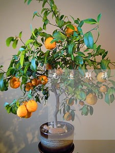 无逾期销户多久清除