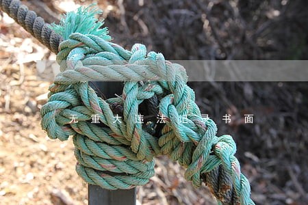 无重大违法记录书面