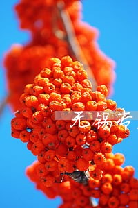 无锡专业刑事律师所 无锡专业刑事律师所