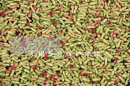 无锡专业辩护律师 无锡专业辩护律师