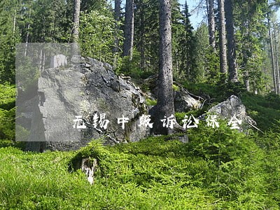 无锡中级诉讼保全 无锡中级诉讼保全
