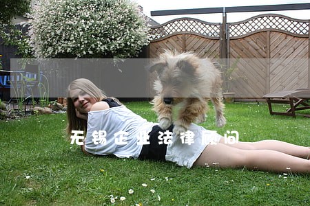 无锡企业法律顾问 无锡企业法律顾问
