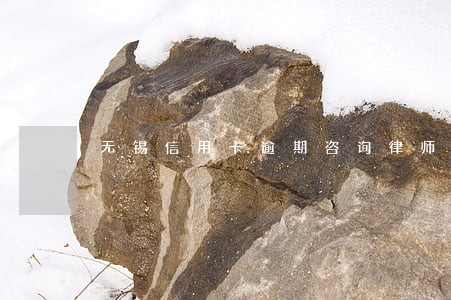 无锡信用卡逾期咨询律师