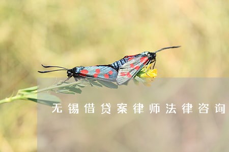 无锡借贷案律师法律咨询