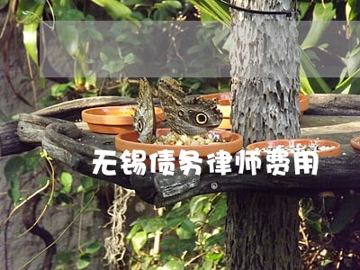 无锡债务律师费用 无锡债务律师费用