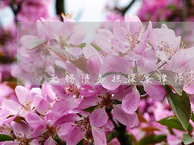 无锡债务担保案律师法律服务 无锡债务担保案律师法律服务