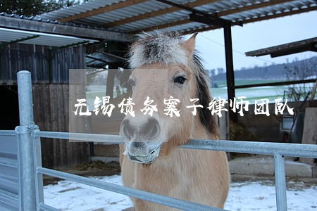 无锡债务案子律师团队