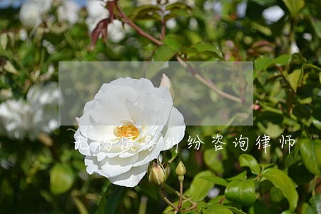 无锡债务纠纷咨询律师 无锡债务纠纷咨询律师