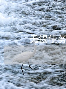 无锡债务纠纷法律咨询律师团队 无锡债务纠纷法律咨询律师团队