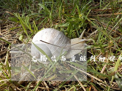 无锡债务重组纠纷律师团 无锡债务重组纠纷律师团