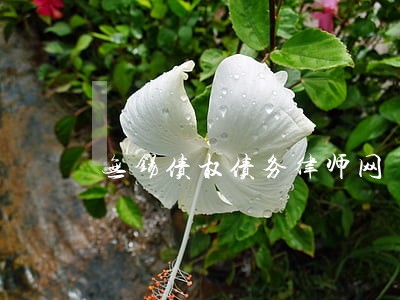 无锡债权债务律师网 无锡债权债务律师网