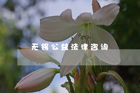 无锡公益法律咨询